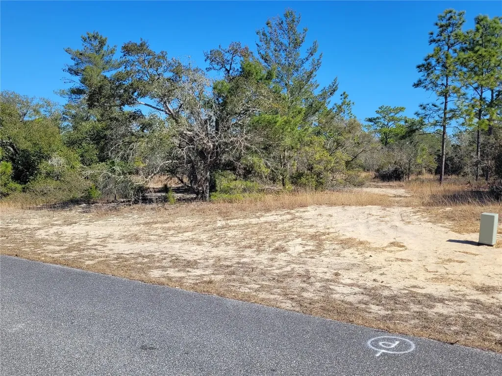 3138 W Redgate Drive Dunnellon FL 34433