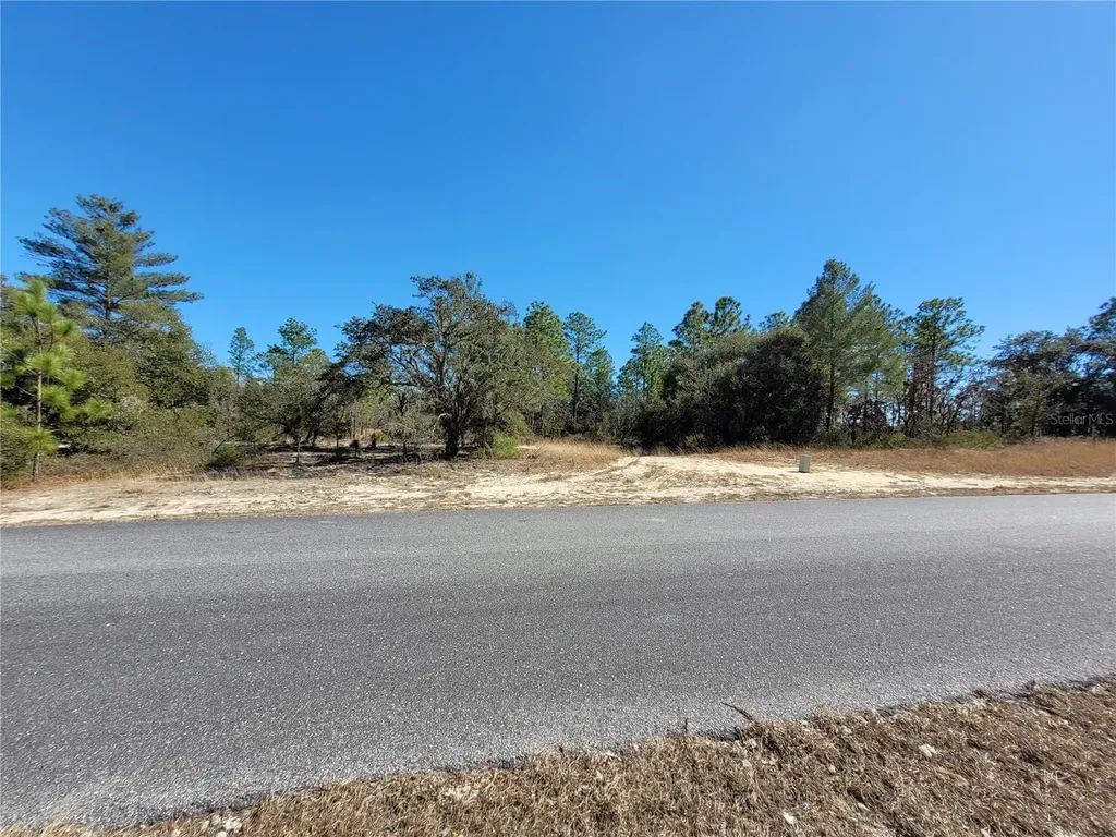 3138 W Redgate Drive Dunnellon FL 34433