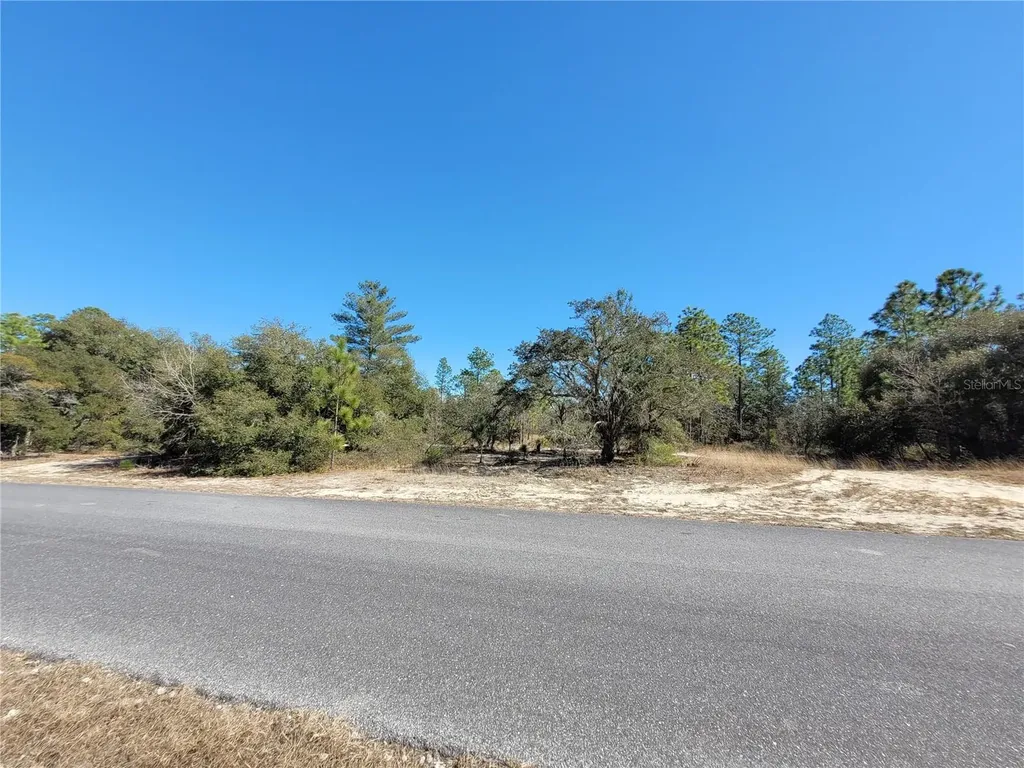 3138 W Redgate Drive Dunnellon FL 34433