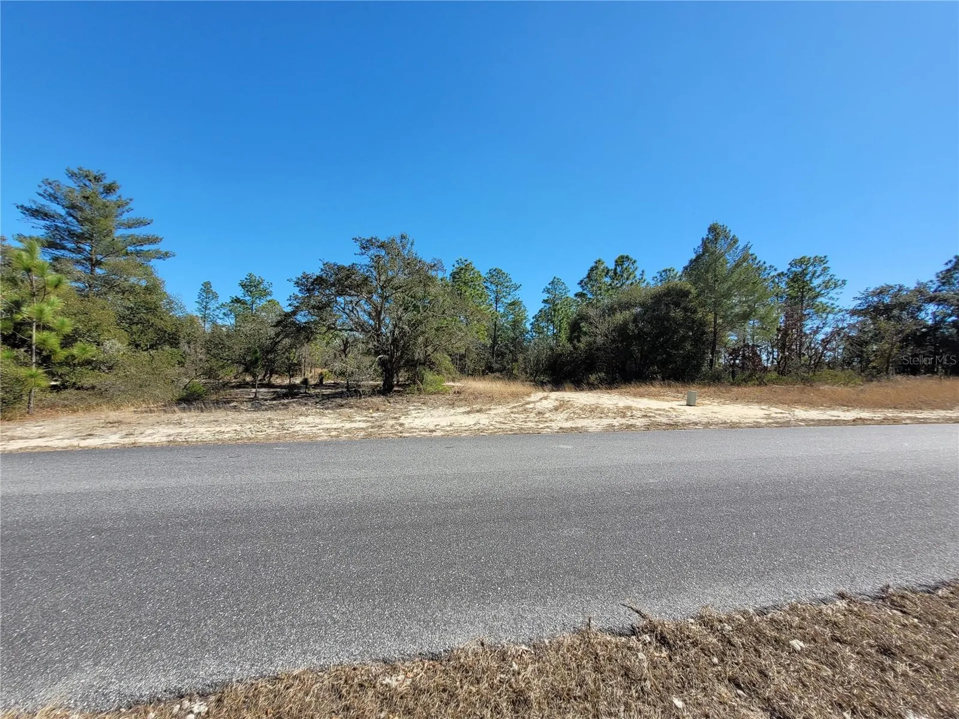 3138 W Redgate Drive Dunnellon FL 34433