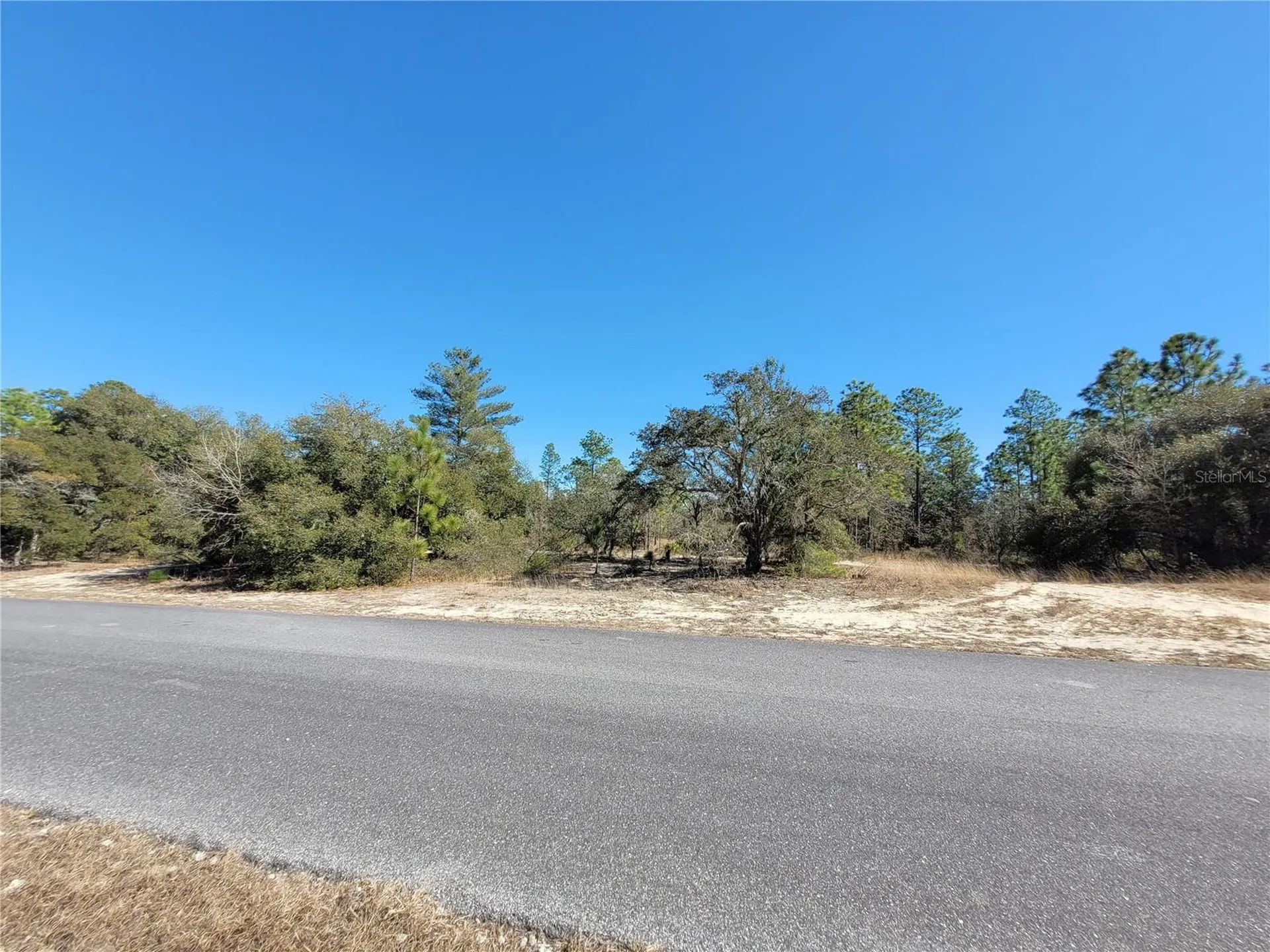 3138 W Redgate Drive Dunnellon FL 34433