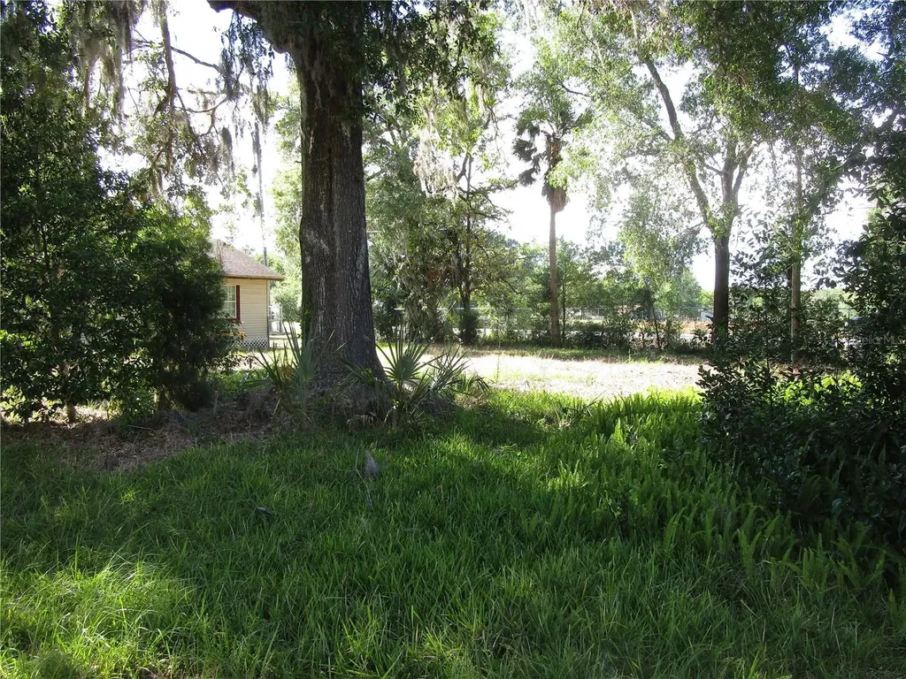 20036 State Road 44 Eustis FL 32736
