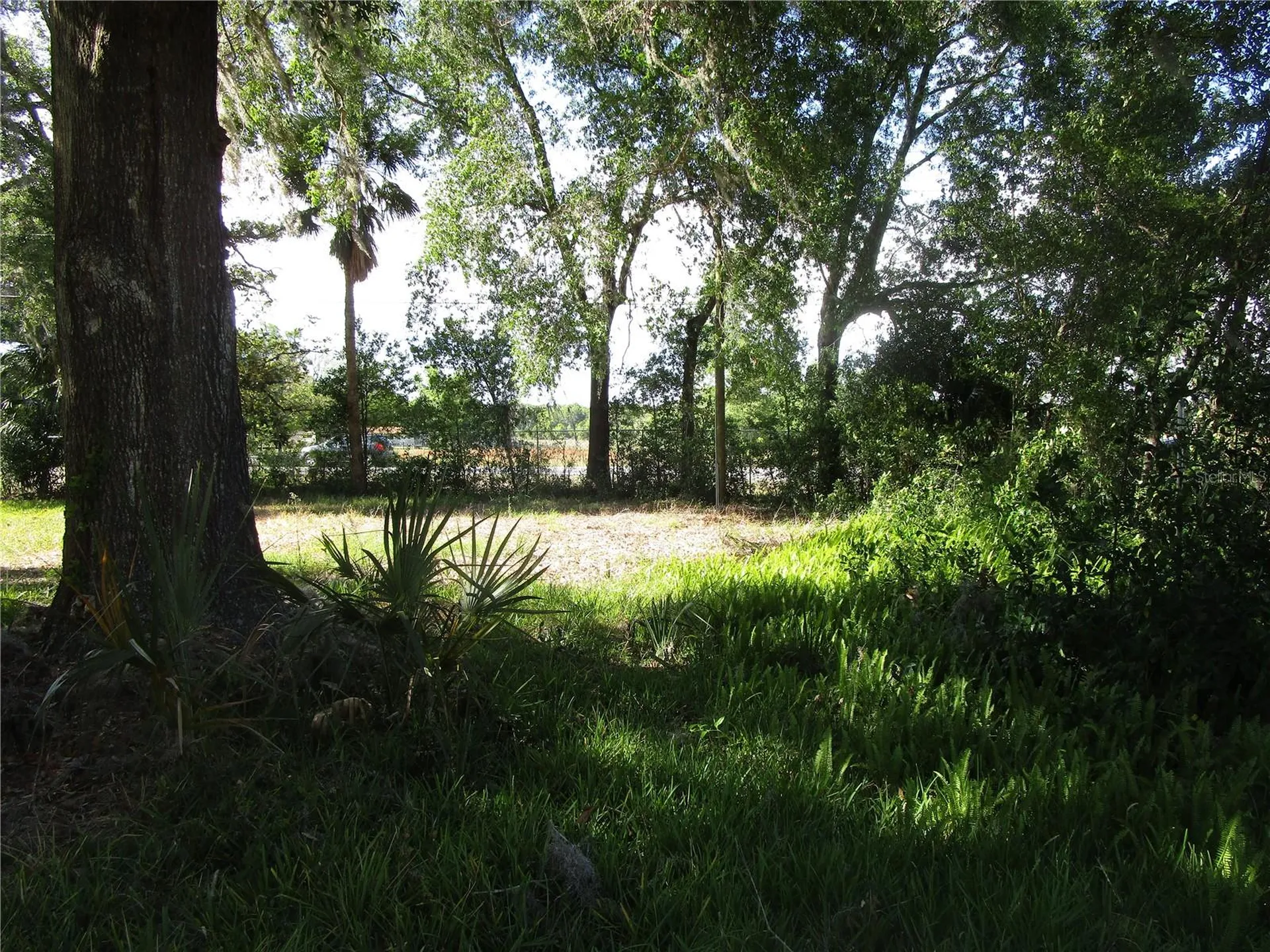 20036 State Road 44 Eustis FL 32736