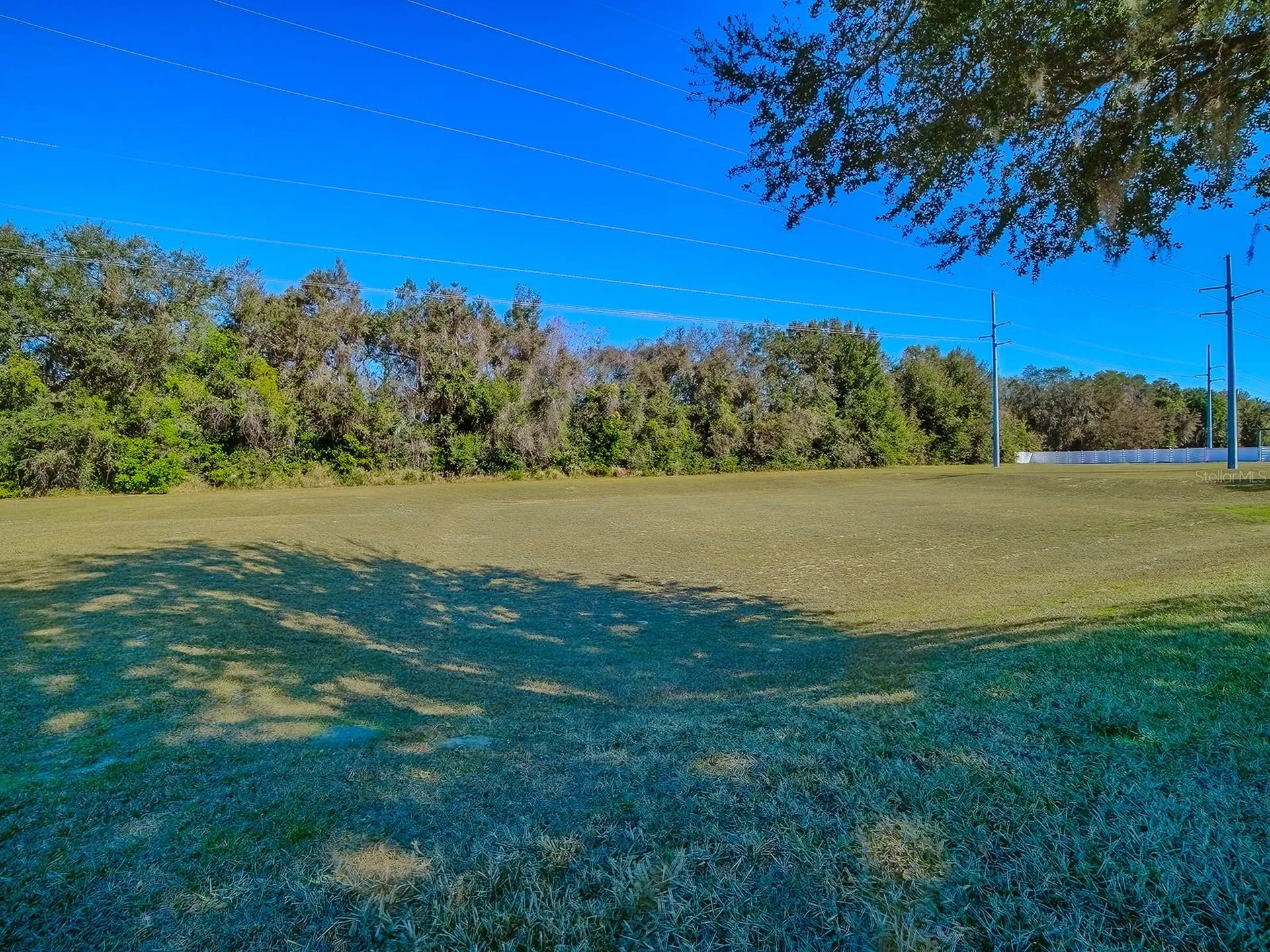 33122 Meadow Side Court Leesburg FL 34748