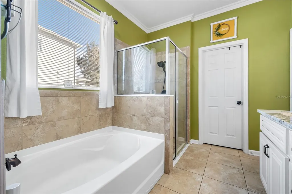 5463 Shasta Daisy Place Land O Lakes FL 34639