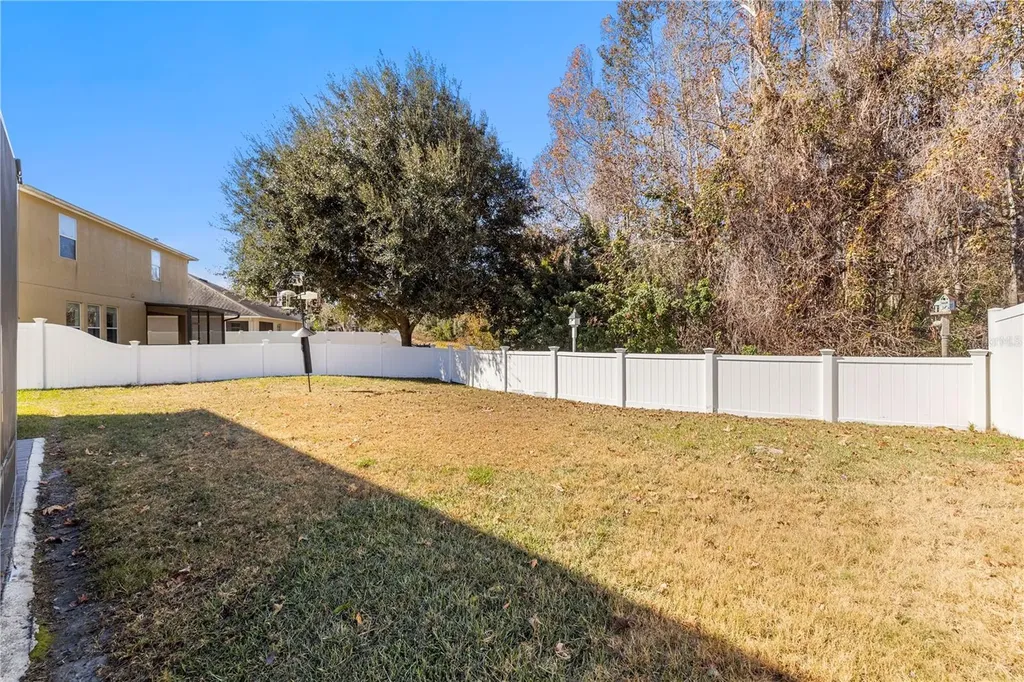5463 Shasta Daisy Place Land O Lakes FL 34639
