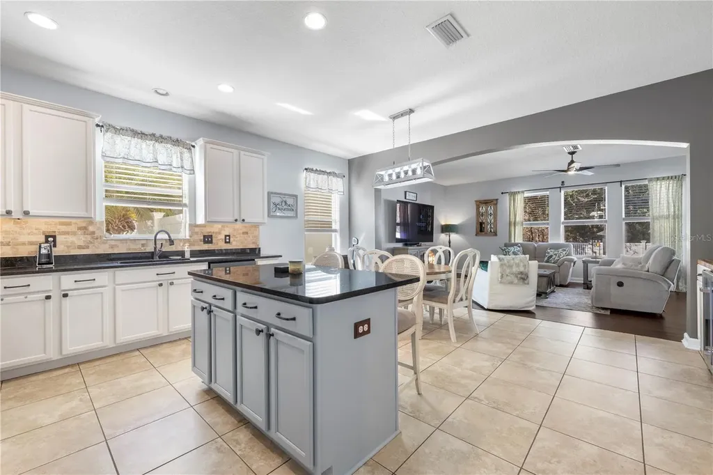 5463 Shasta Daisy Place Land O Lakes FL 34639