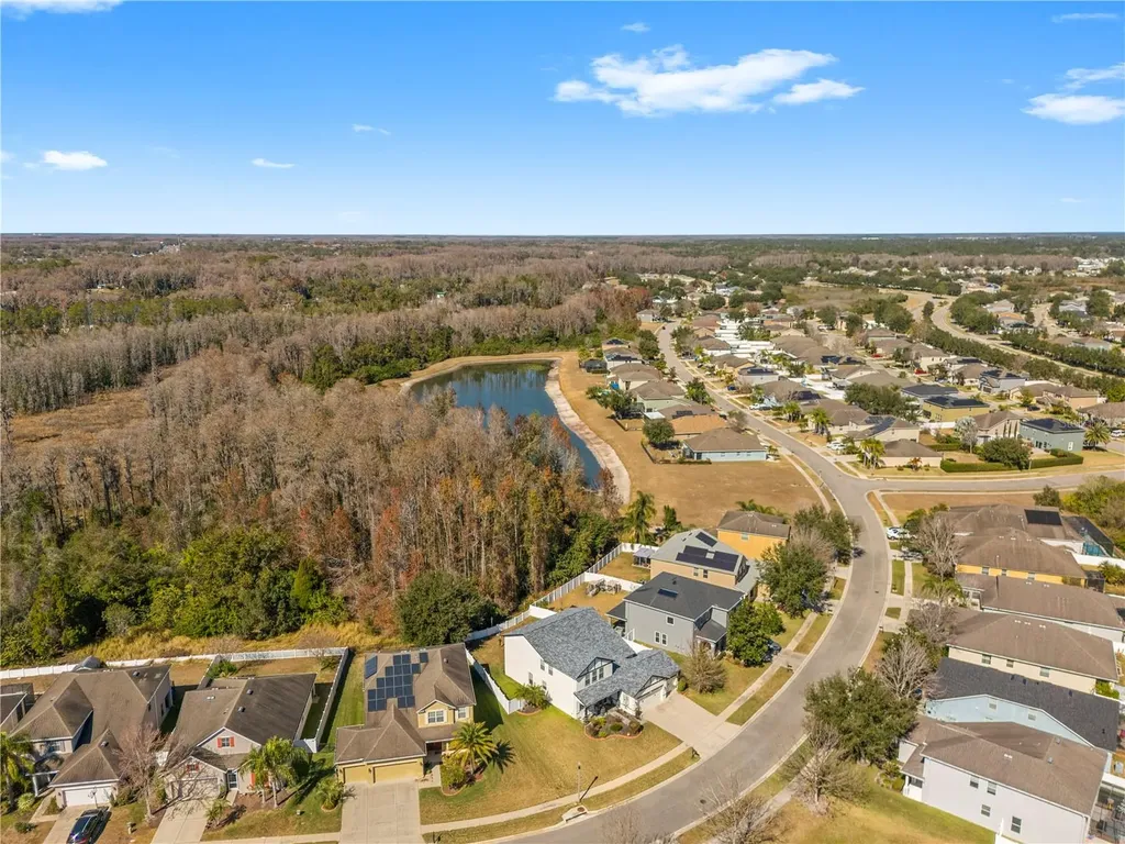 5463 Shasta Daisy Place Land O Lakes FL 34639