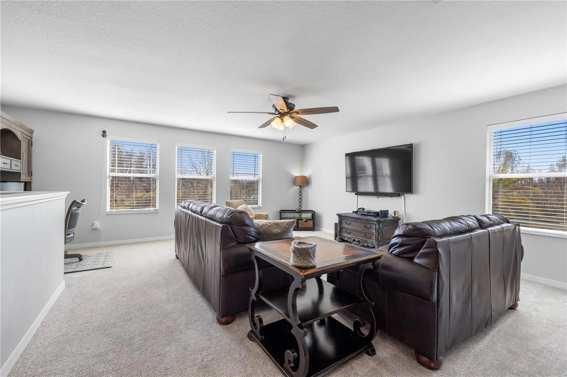 5463 Shasta Daisy Place Land O Lakes FL 34639