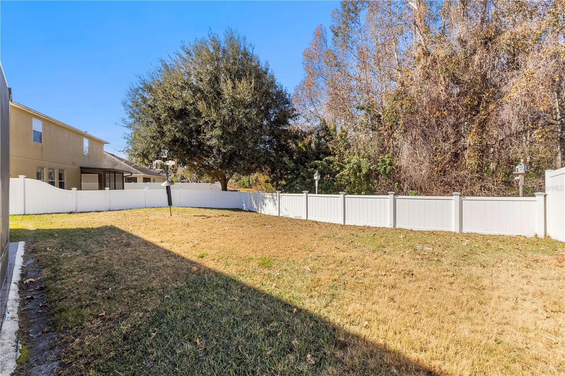 5463 Shasta Daisy Place Land O Lakes FL 34639