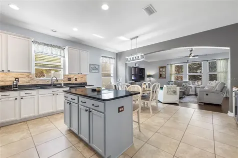 5463 Shasta Daisy Place Land O Lakes FL 34639