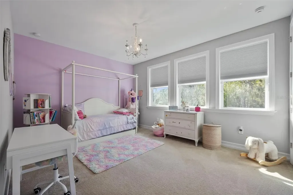 28787 Corbara Place Wesley Chapel FL 33543