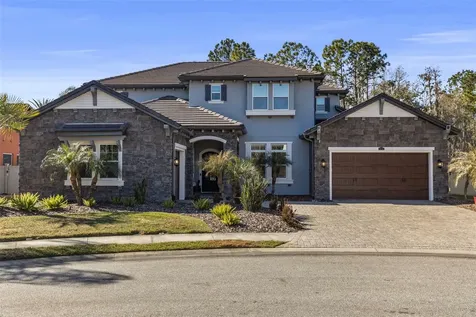 28787 Corbara Place Wesley Chapel FL 33543