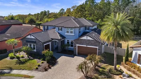 28787 Corbara Place Wesley Chapel FL 33543