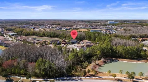 28787 Corbara Place Wesley Chapel FL 33543