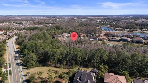 28787 Corbara Place Wesley Chapel FL 33543