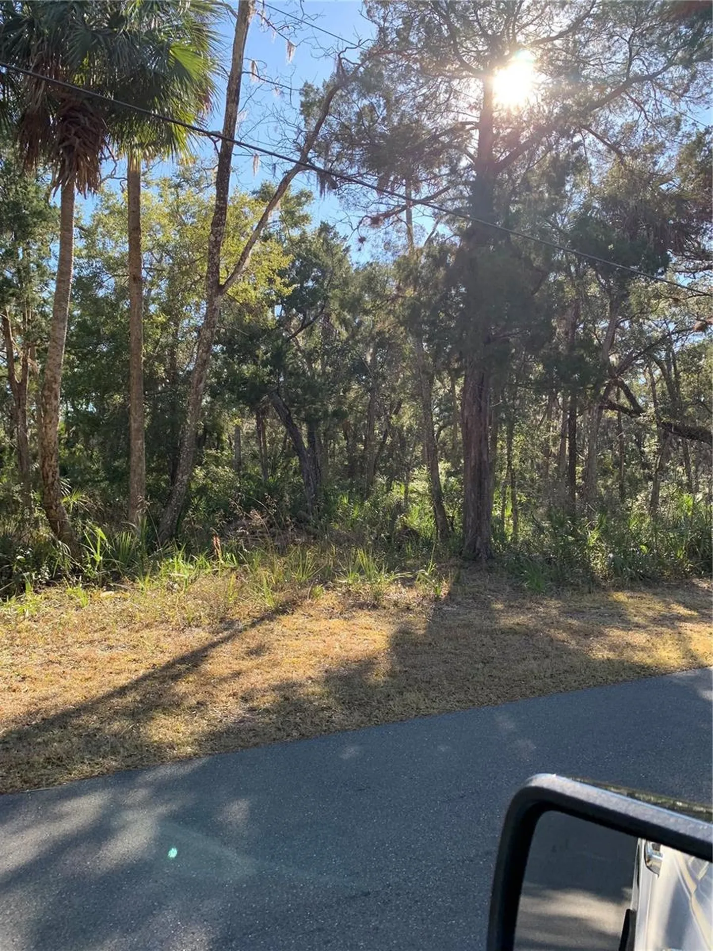 12148 W Standish Drive Homosassa FL 34448