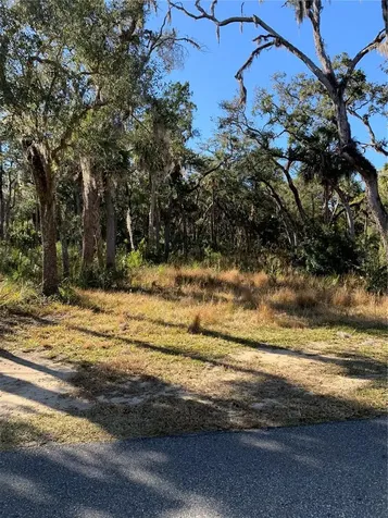 12148 W Standish Drive Homosassa FL 34448