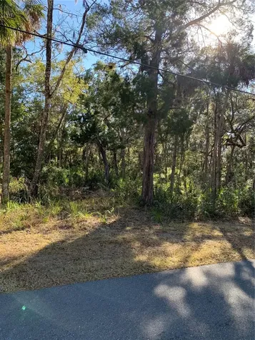 12148 W Standish Drive Homosassa FL 34448