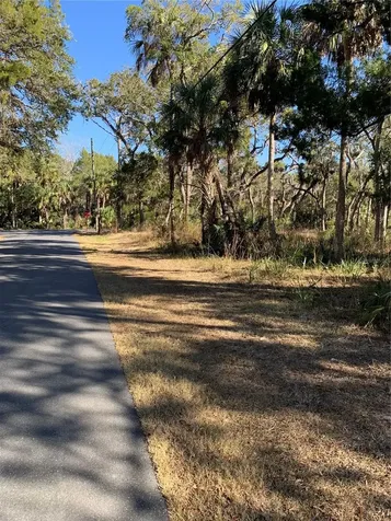 12148 W Standish Drive Homosassa FL 34448