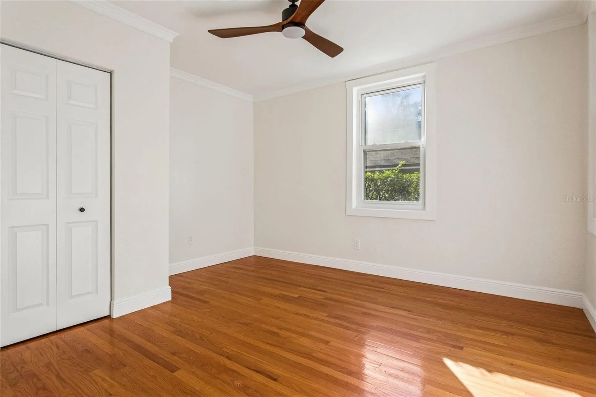 511 E Frances Avenue Tampa FL 33602