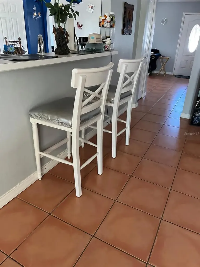 303 Baccarat Court Kissimmee FL 34759