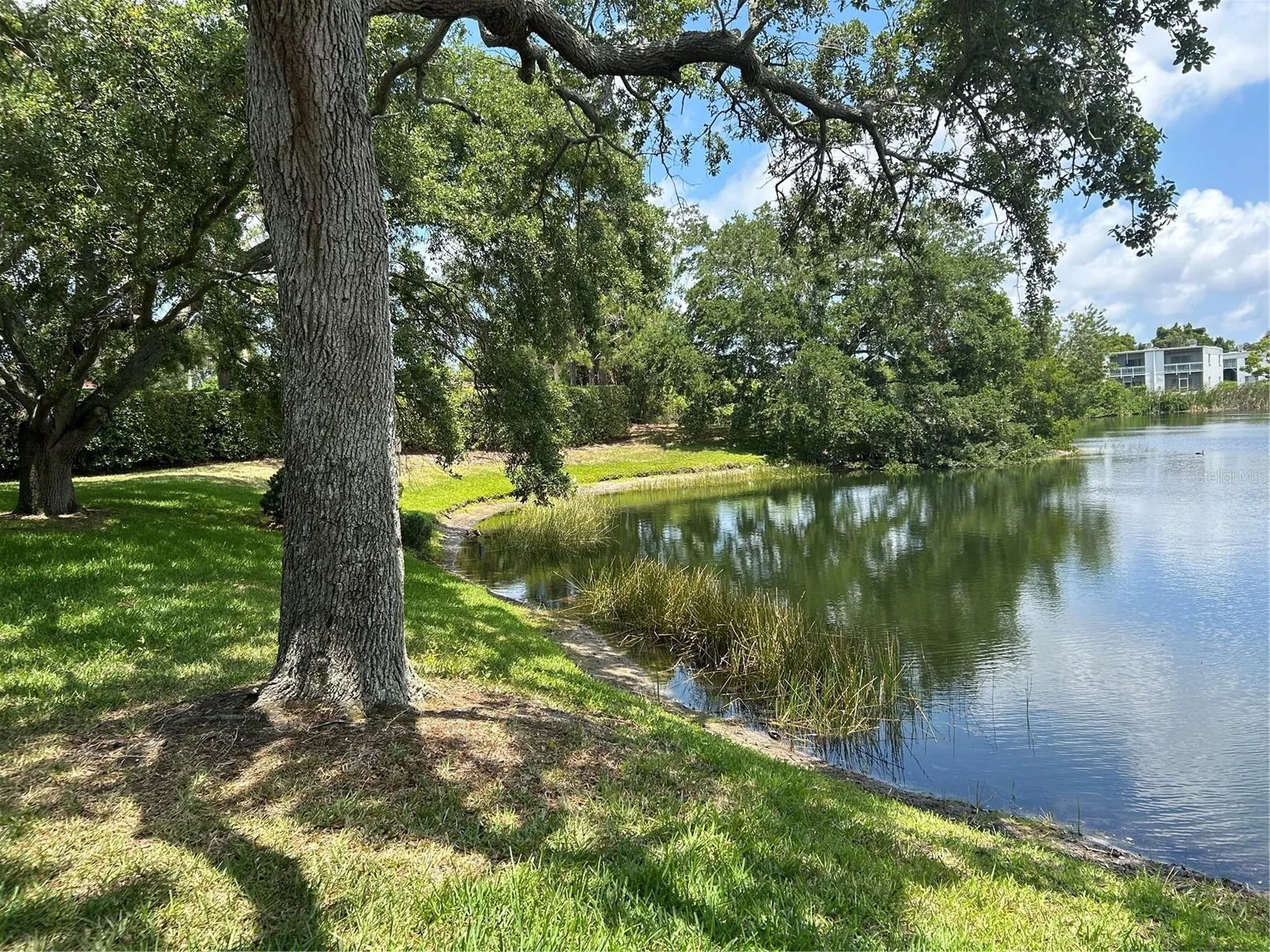 645 N Keene Road Clearwater FL 33755