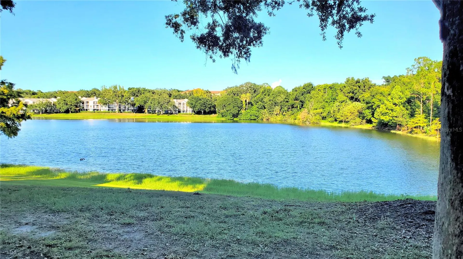 1079 S Hiawassee Road Orlando FL 32835