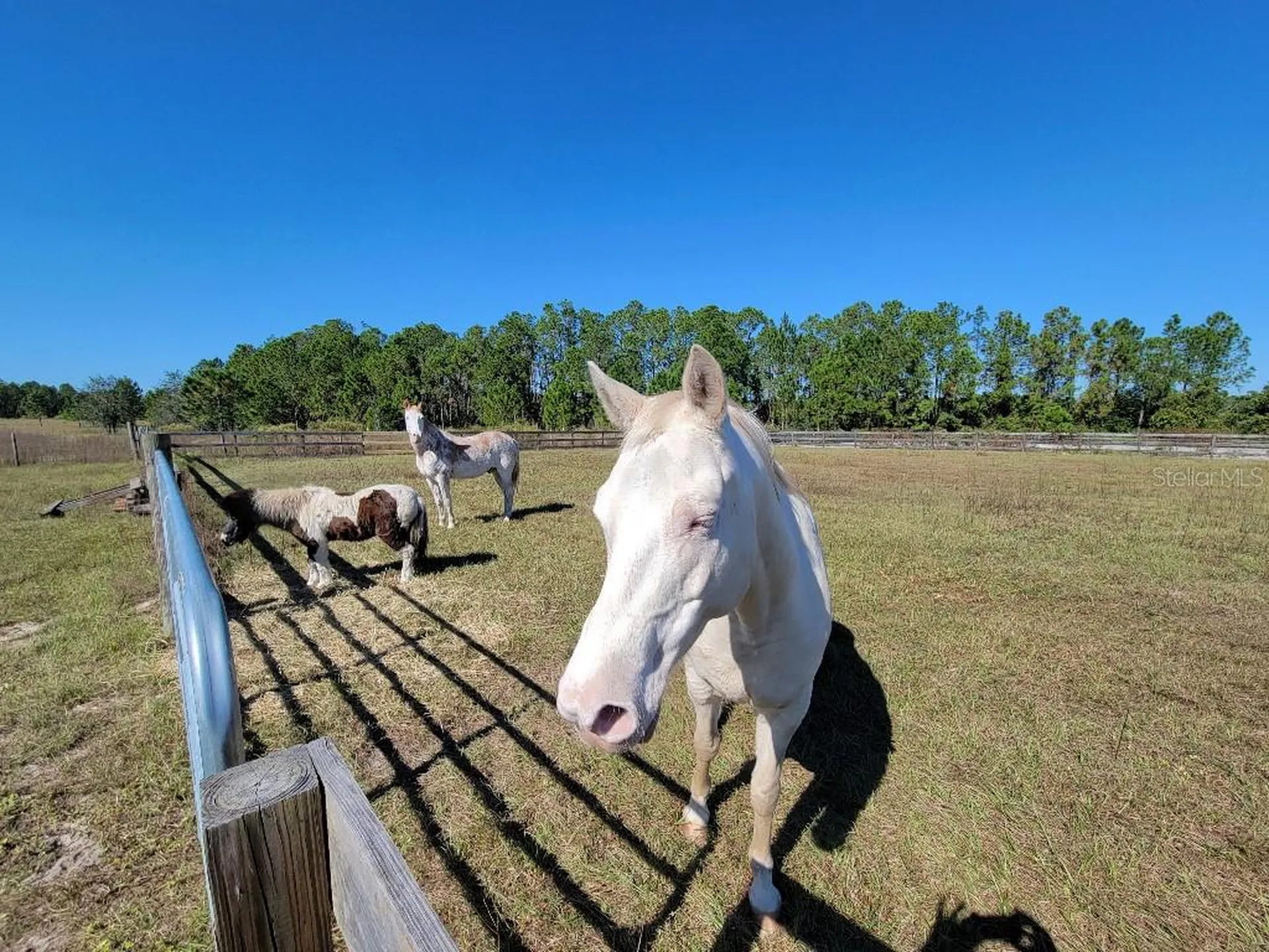 12625 Sweet Hill Road Polk City FL 33868