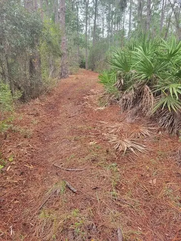 12625 Sweet Hill Road Polk City FL 33868