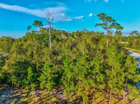 330 Bonnie Lane Orange City FL 32763