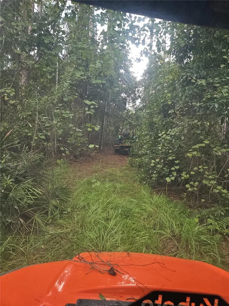 1255 Black Bear Ranch Trail Pierson FL 32180