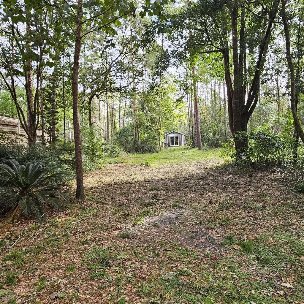 1255 Black Bear Ranch Trail Pierson FL 32180