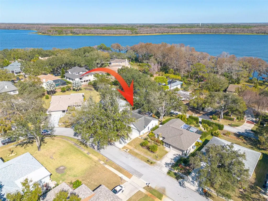 3569 Oak Lake Drive Palm Harbor FL 34684