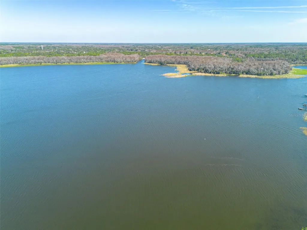 3569 Oak Lake Drive Palm Harbor FL 34684