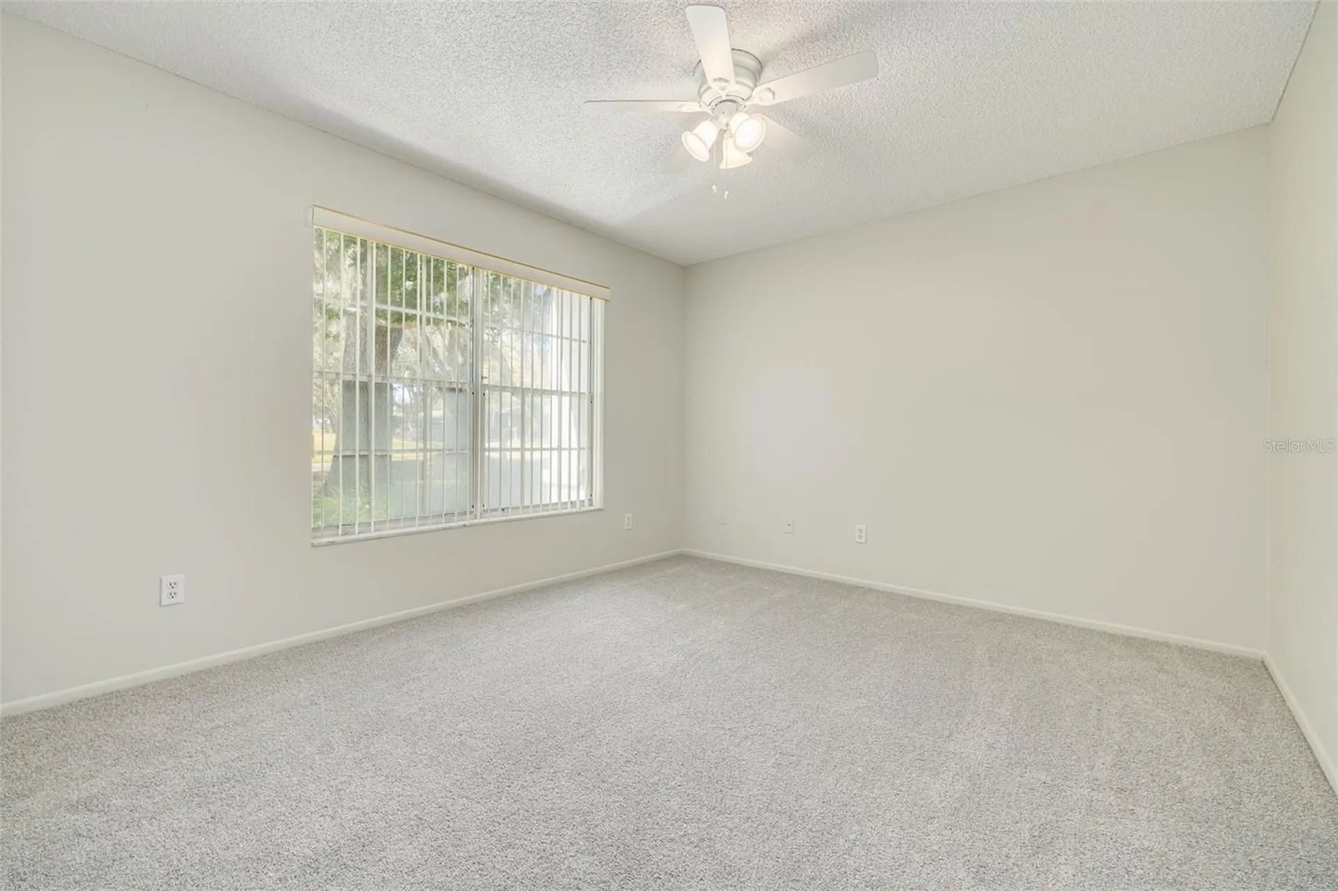 3569 Oak Lake Drive Palm Harbor FL 34684