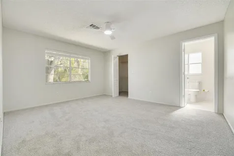 3569 Oak Lake Drive Palm Harbor FL 34684