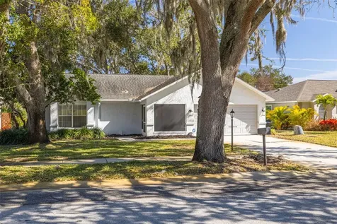 3569 Oak Lake Drive Palm Harbor FL 34684