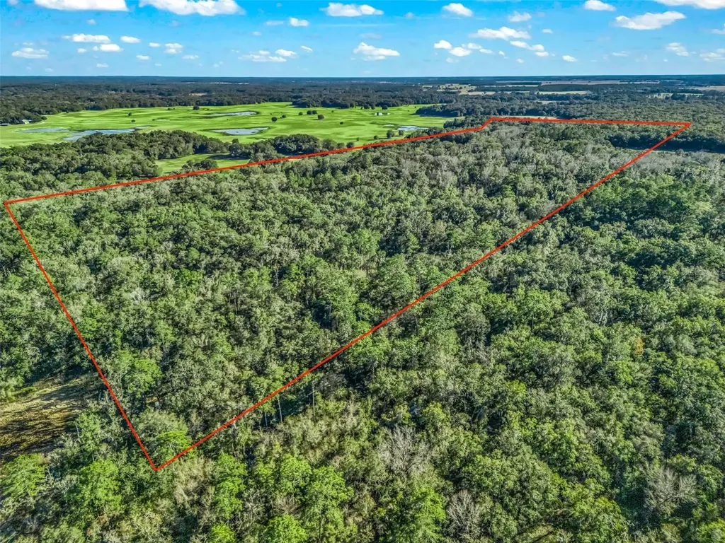 0 SE 165th Avenue Williston FL 32696