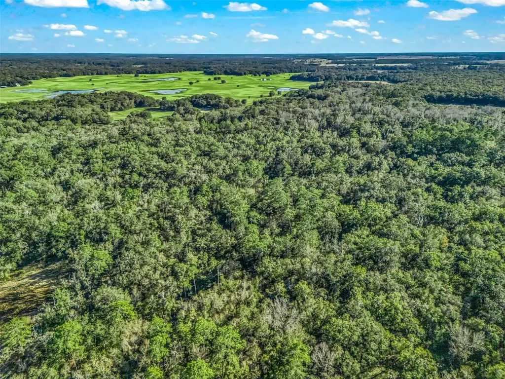 0 SE 165th Avenue Williston FL 32696