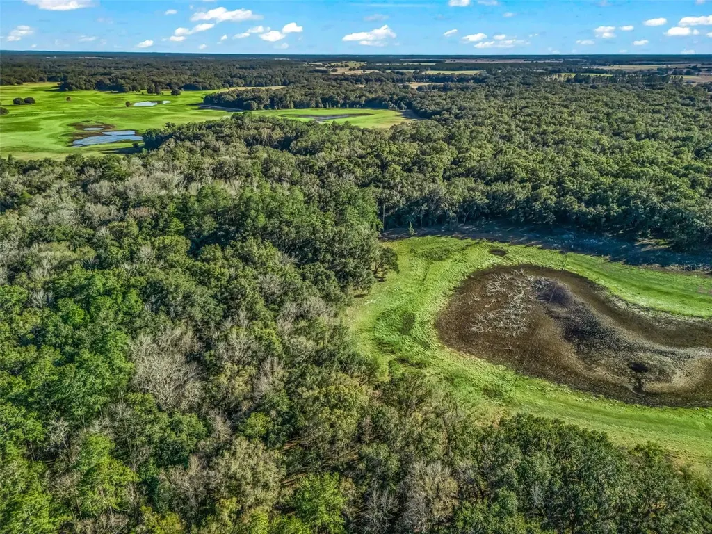 0 SE 165th Avenue Williston FL 32696
