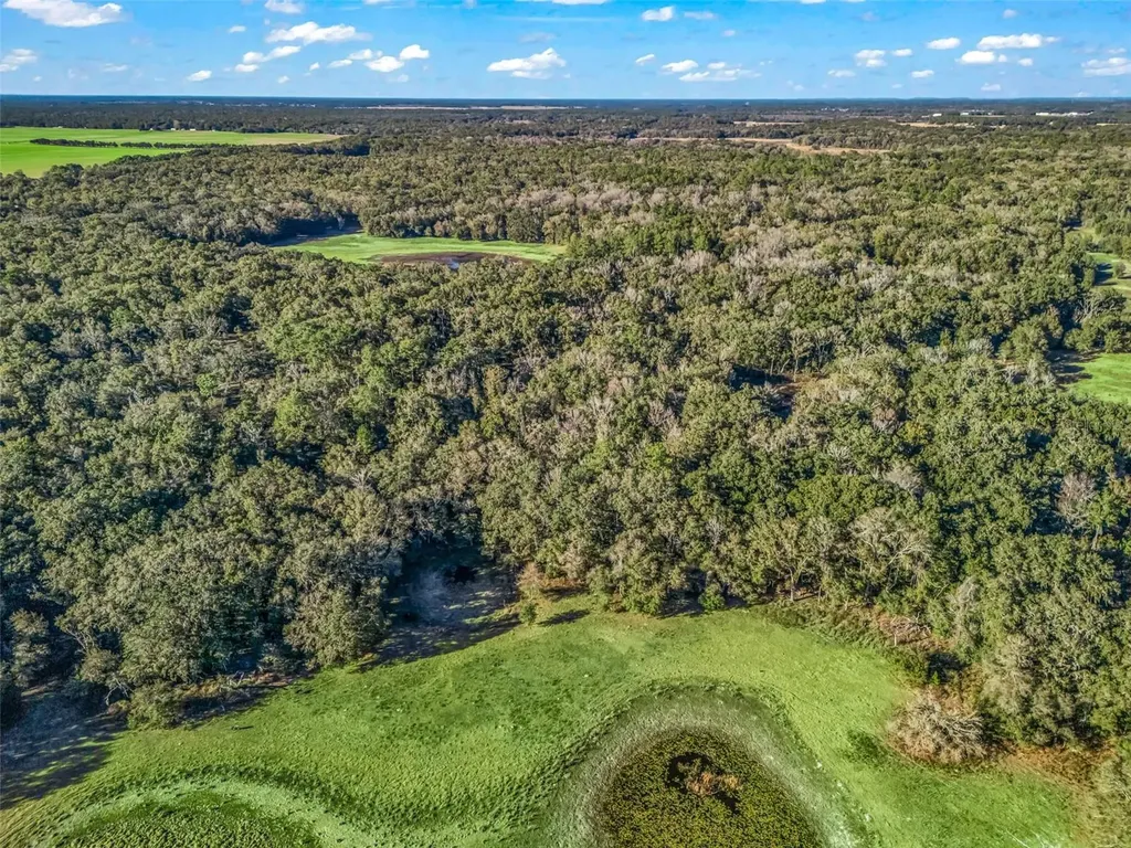 0 SE 165th Avenue Williston FL 32696