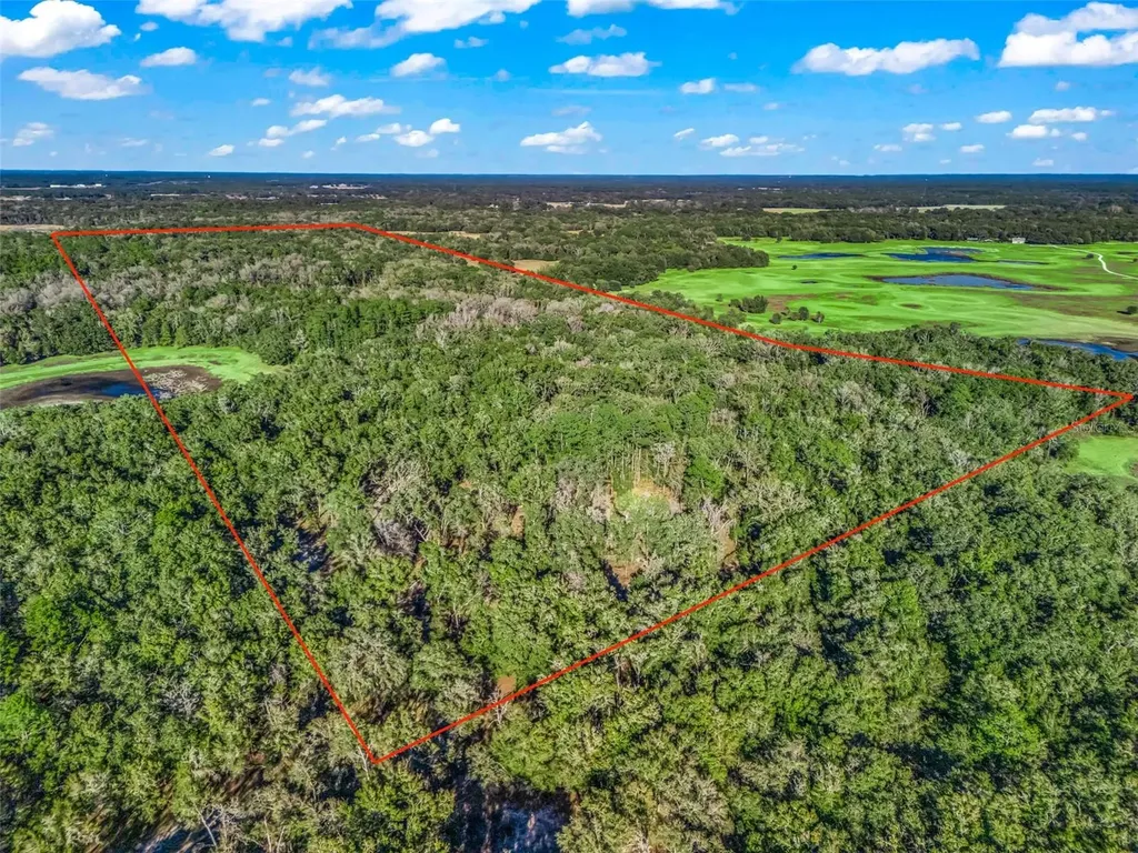 0 SE 165th Avenue Williston FL 32696