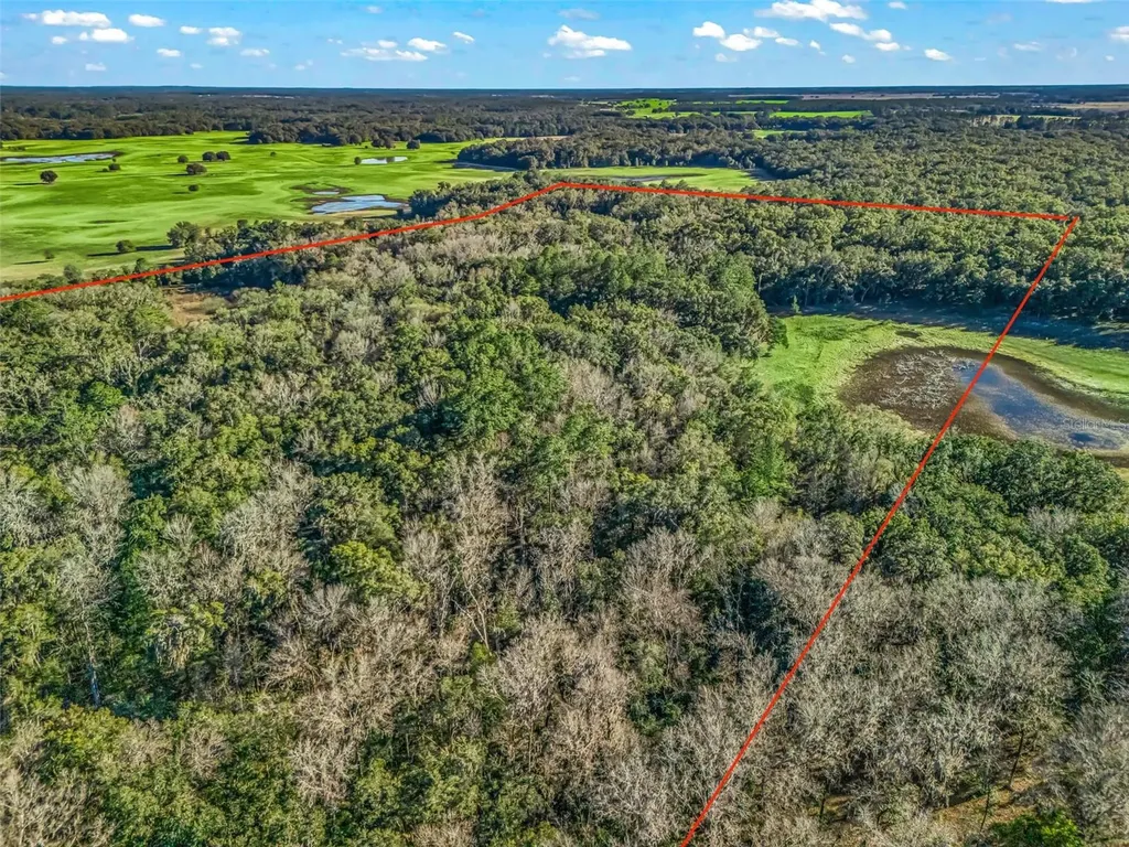 0 SE 165th Avenue Williston FL 32696