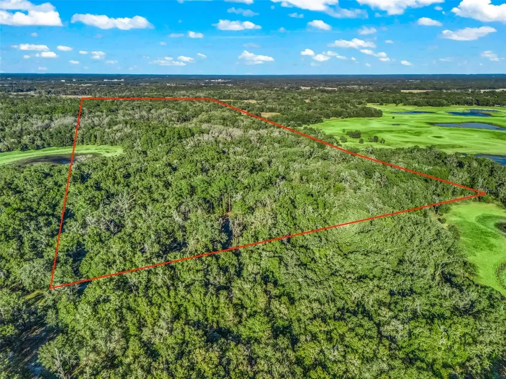 0 SE 165th Avenue Williston FL 32696