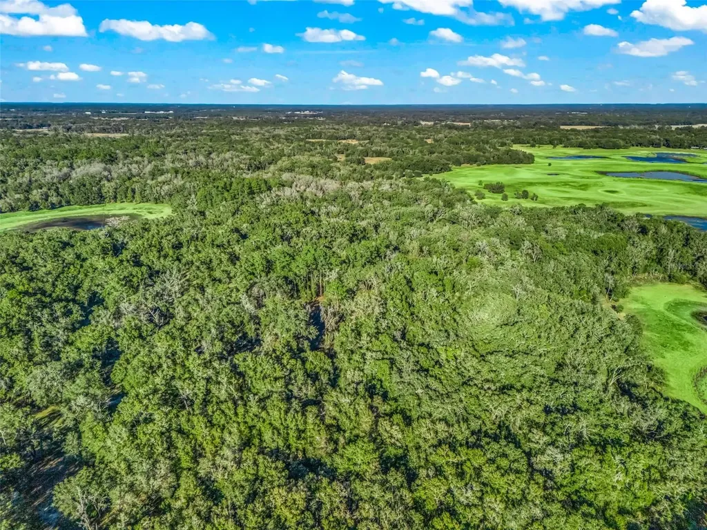 0 SE 165th Avenue Williston FL 32696