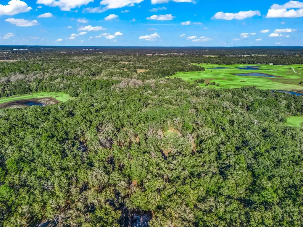 0 SE 165th Avenue Williston FL 32696