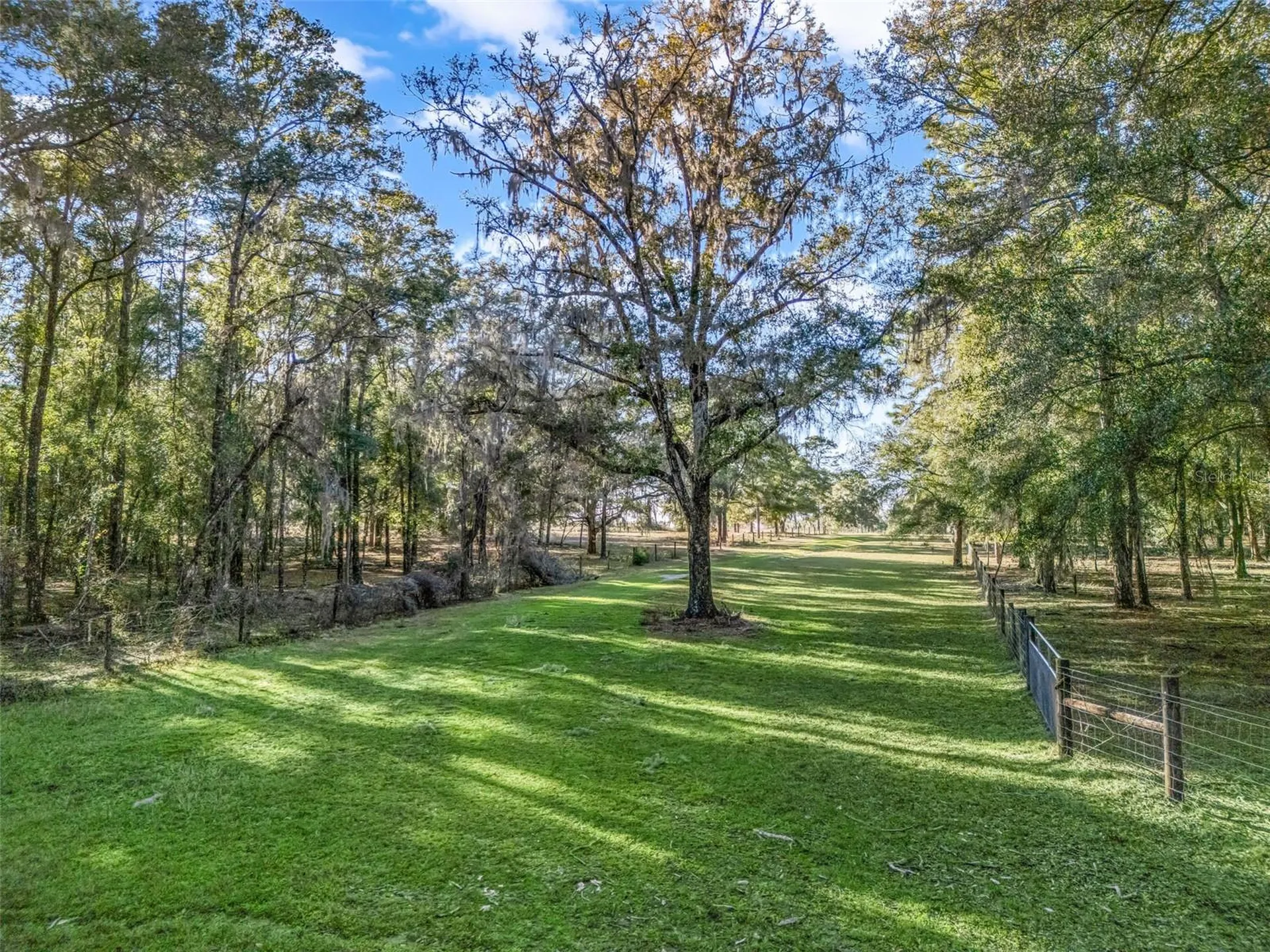 0 SE 165th Avenue Williston FL 32696