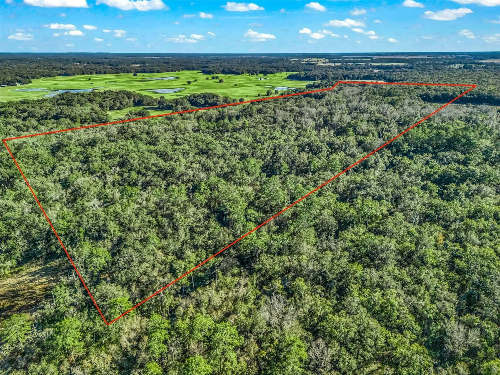 0 SE 165th Avenue Williston FL 32696