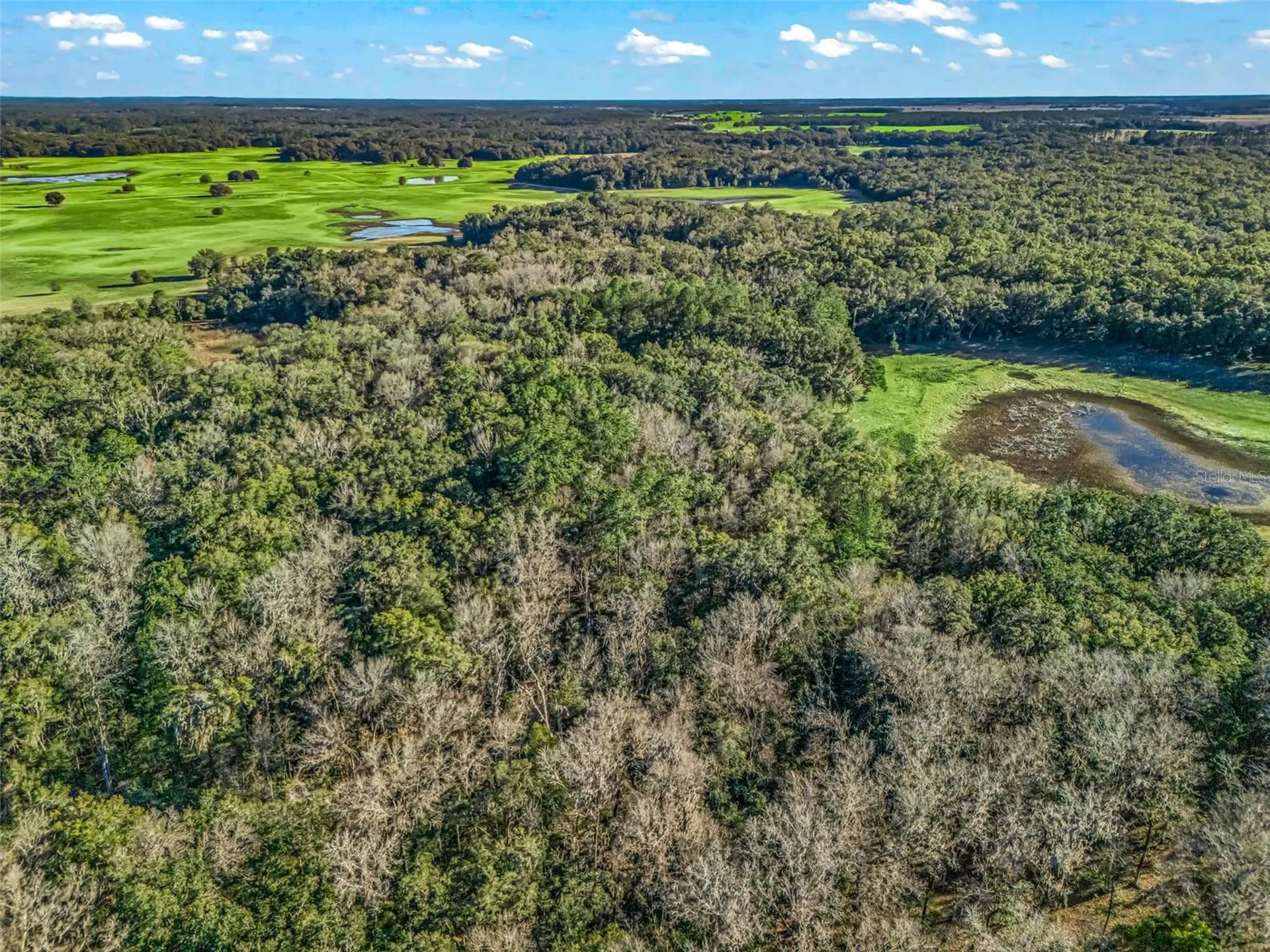 0 SE 165th Avenue Williston FL 32696